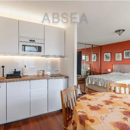 Sea View Pool Terrace Parking 公寓 尼斯